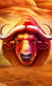 Buffalo Hold and Win Extreme
