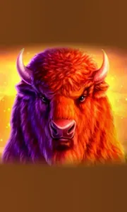Buffalo 50