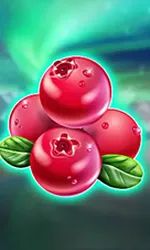Winterberries